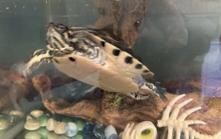 Photo Nov 24, 9 20 58 AM