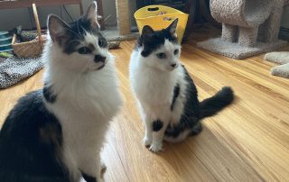 Photo Sep 06, 10 17 31 AM