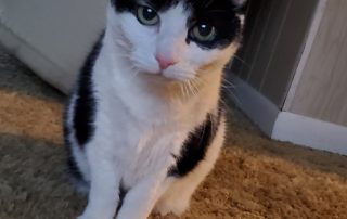 IMG_20210605_140603_530