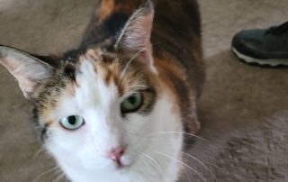 Photo Sep 16, 8 09 57 PM