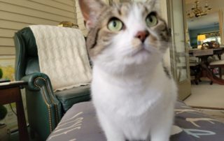 Resized_Resized_Resized_20211019_122723