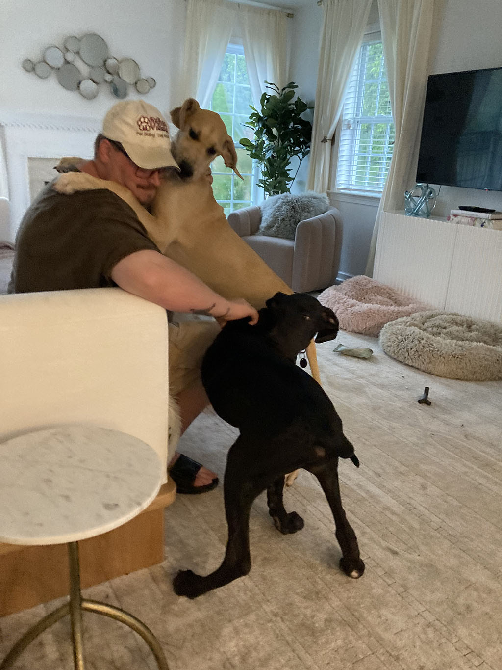 Pet of the Month December 2022 PetPros of Hershey