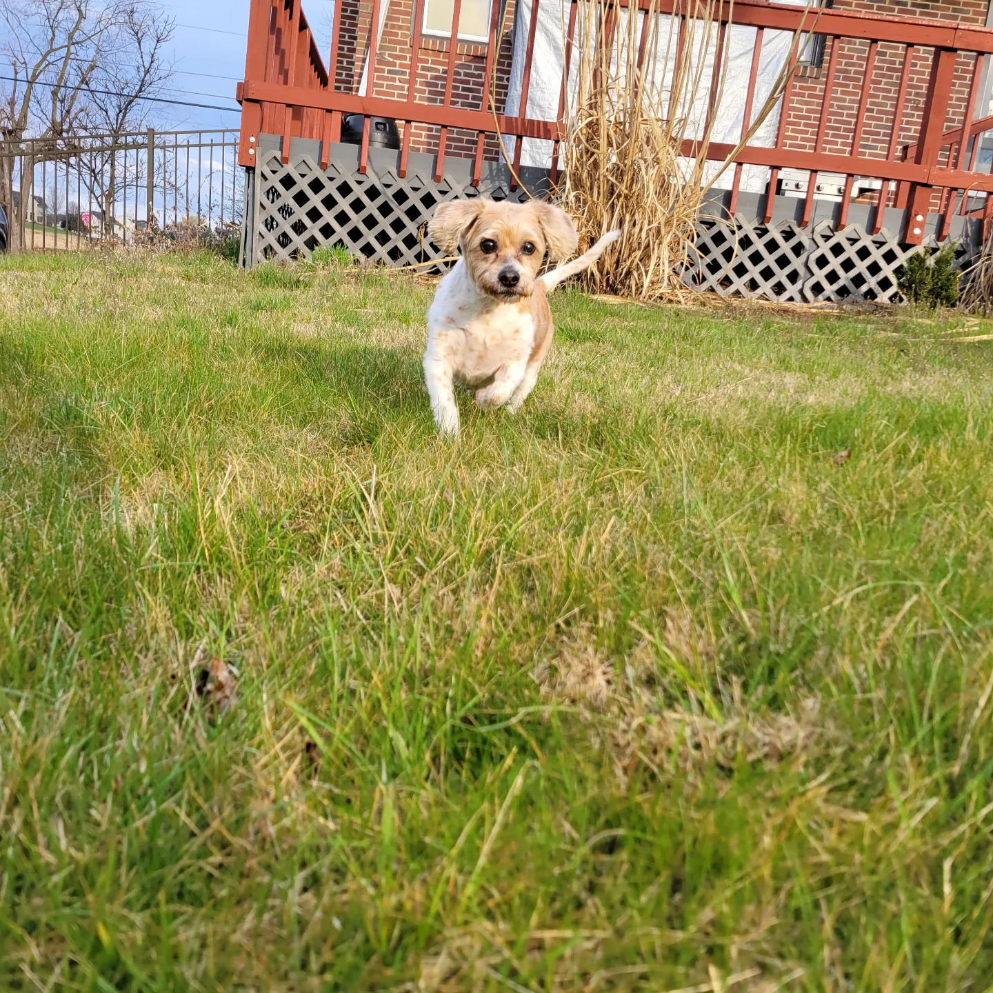 IMG_20220403_081901_089