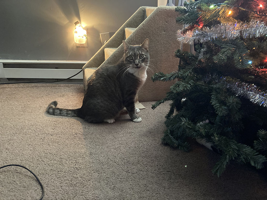 Photo Dec 24, 12 46 20 PM