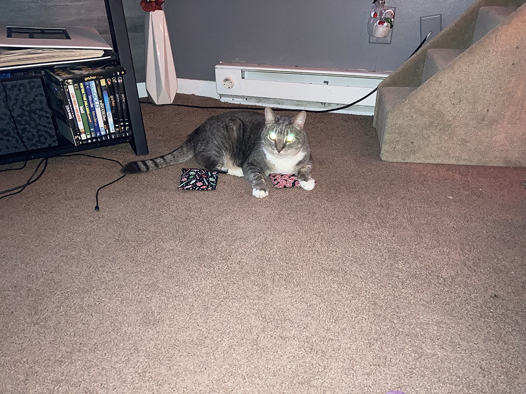 Photo Dec 25, 9 14 56 PM