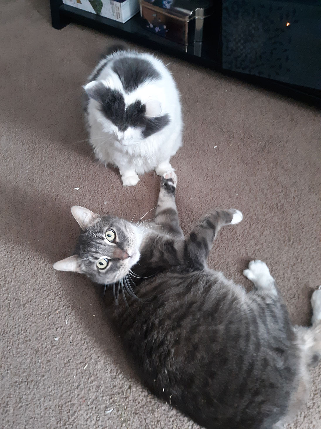 Photo May 21, 2 41 46 PM