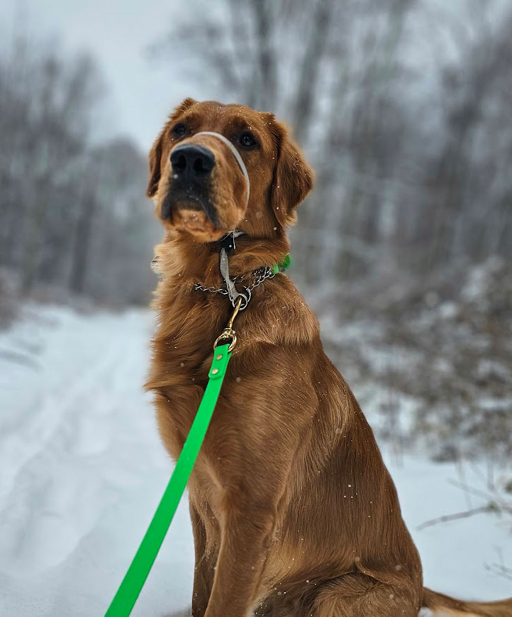 New Client Booking Form for PetPros of Hershey