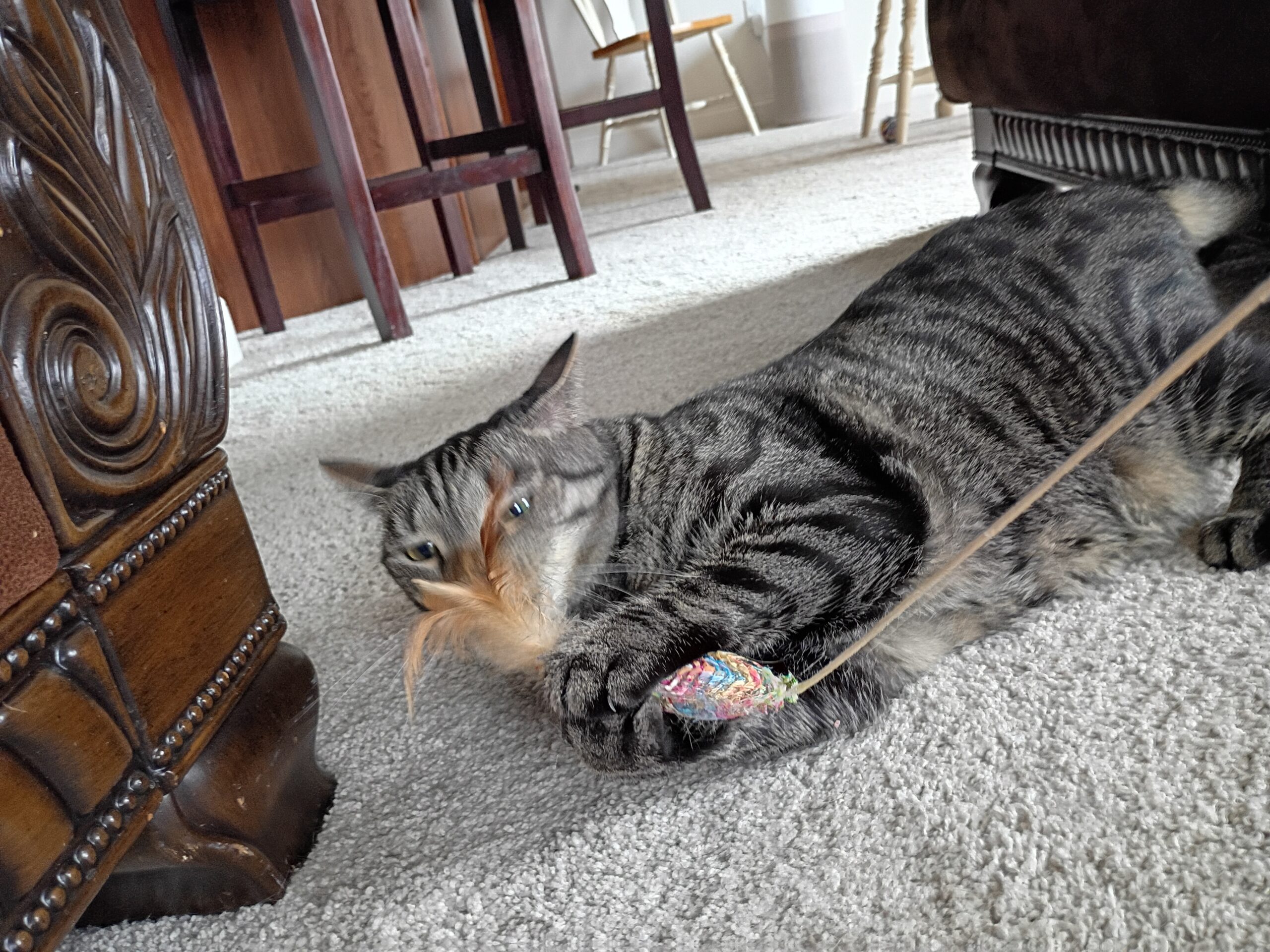 IMG_20250802_172124257_HDR